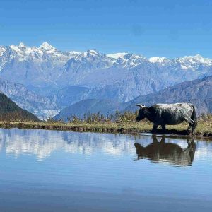Tamang Heritage Trekking