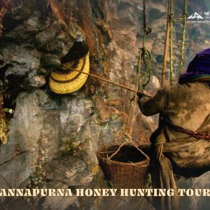 Annapurna Honey Hunting Tour