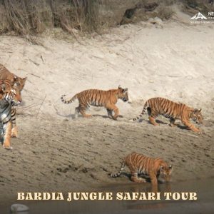 Bardia Jungle Safari Tour