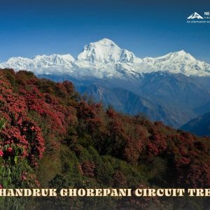 Ghandruk Ghorepani Circuit Trek