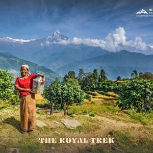 The Royal Trek