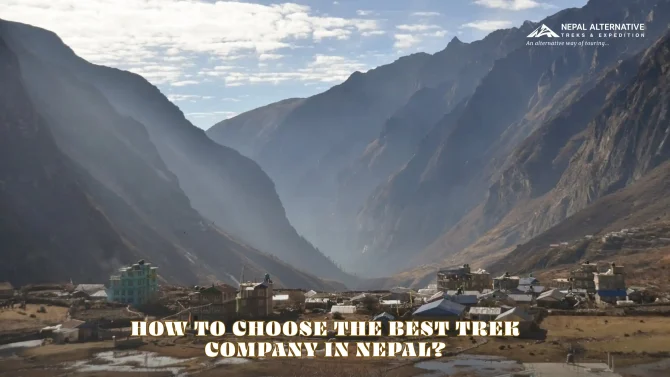 How to Choose the Best Trek Company in Nepal