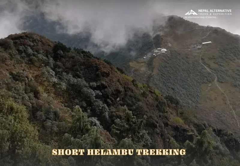 Short Helambu Trekking