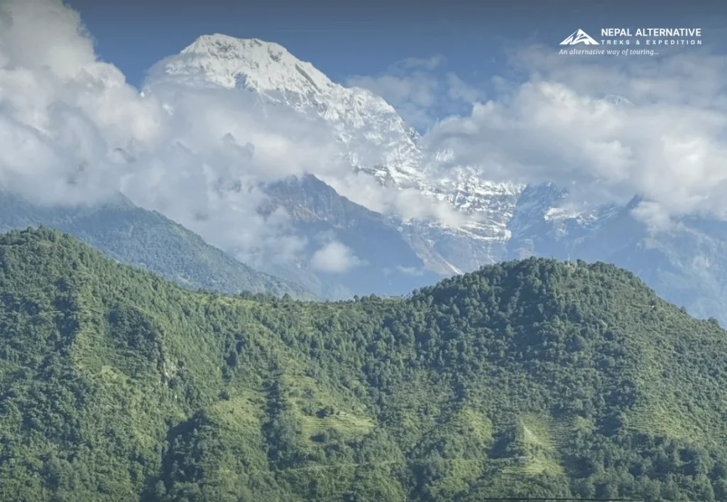 Annapurna Foot Hill Trek with NAT Annapurna Foot Hill Trek with NAT